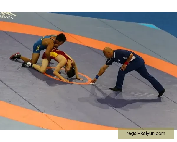 匈牙利普斯卡什球场迎来新赛季，状态备受关注